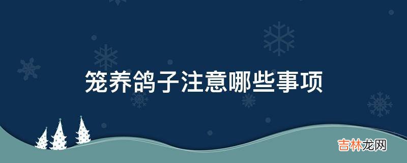 笼养鸽子注意哪些事项?