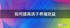 如何提高鸽子养殖效益?