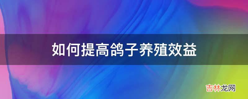 如何提高鸽子养殖效益?