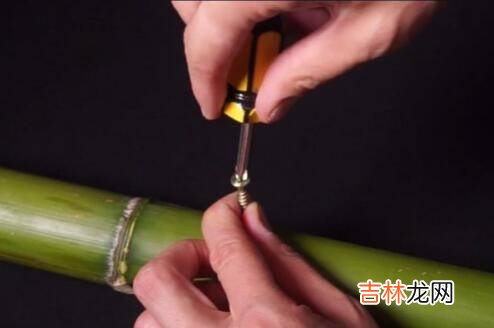 竹酒怎么灌进去的