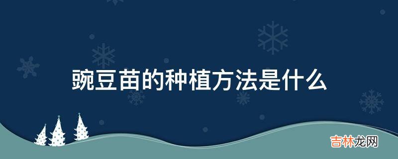 豌豆苗的种植方法是什么?