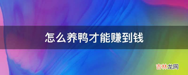 怎么养鸭才能赚到钱?