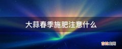 大蒜春季施肥注意什么?