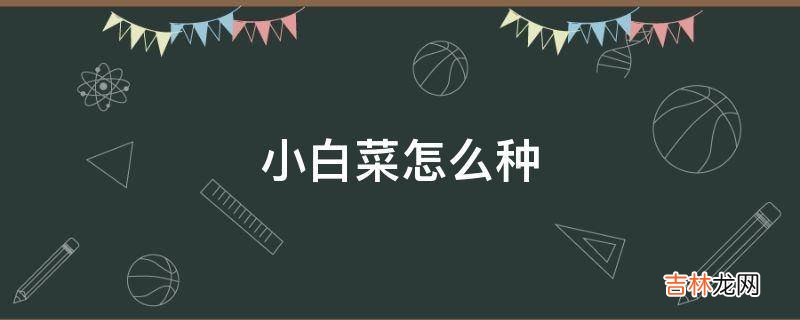 小白菜怎么种?