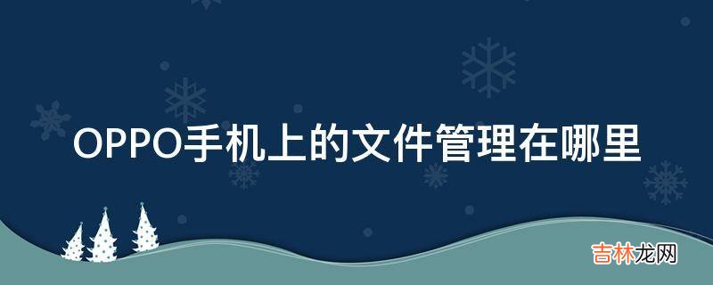 OPPO手机上的文件管理在哪里?