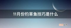 11月份钓草鱼技巧是什么?