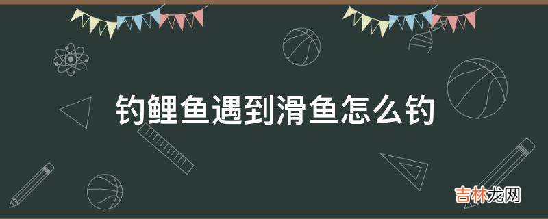 钓鲤鱼遇到滑鱼怎么钓?