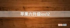 苹果六升级ios12?