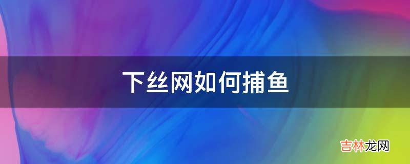 下丝网如何捕鱼?