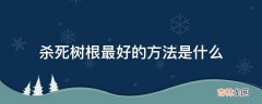 杀死树根最好的方法是什么?