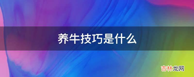 养牛技巧是什么?