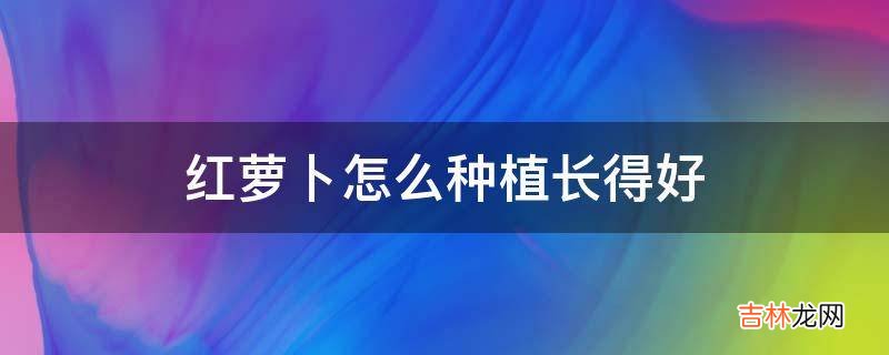 红萝卜怎么种植长得好?