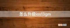 怎么升级ios13gm?