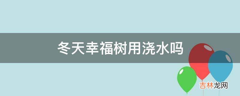 冬天幸福树用浇水吗?