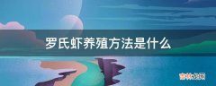 罗氏虾养殖方法是什么?