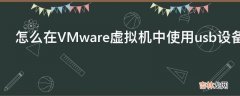 怎么在VMware虚拟机中使用usb设备?