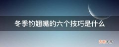 冬季钓翘嘴的六个技巧是什么?