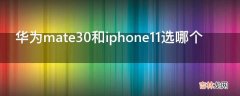 华为mate30和iphone11选哪个?