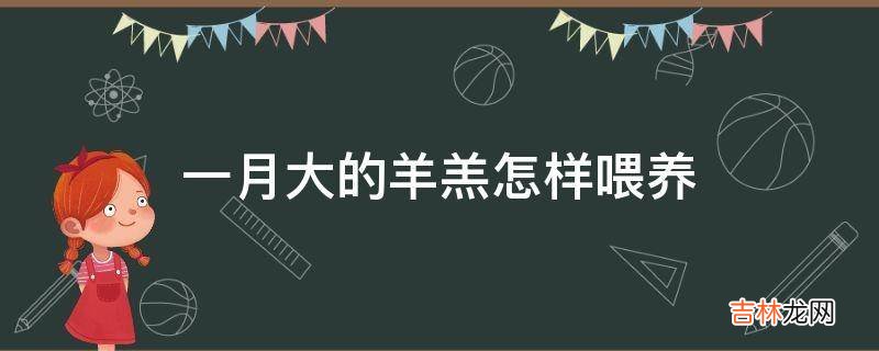 一月大的羊羔怎样喂养?