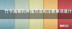 竹节海棠的养殖方法和注意事项是什么?