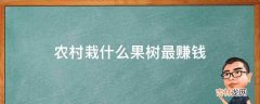 农村栽什么果树最赚钱?