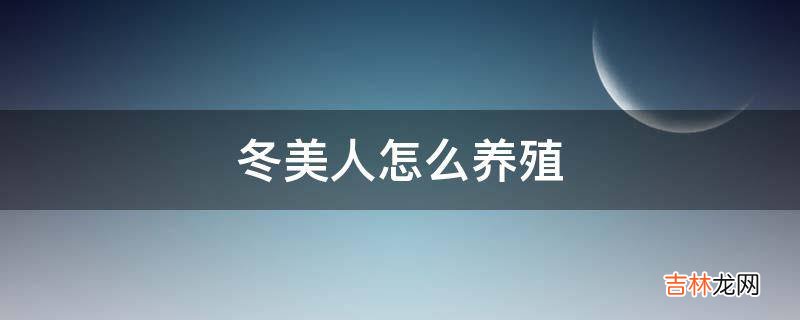 冬美人怎么养殖?