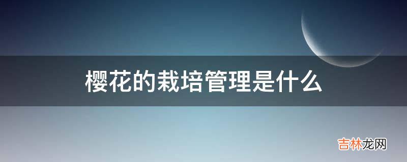 樱花的栽培管理是什么?