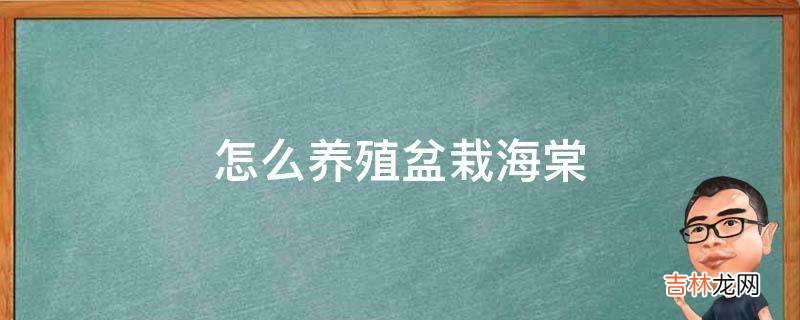 怎么养殖盆栽海棠?