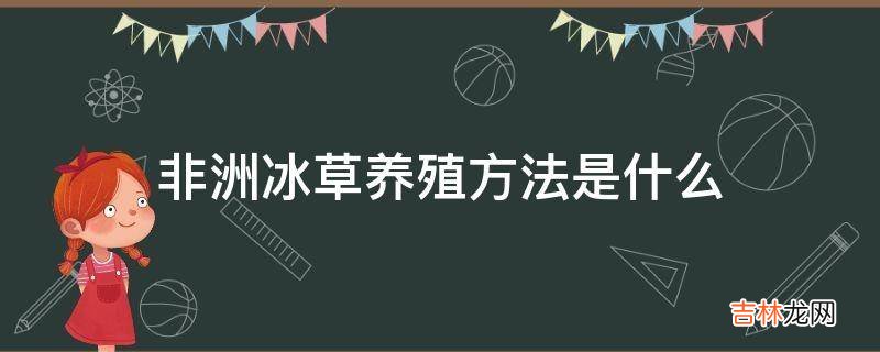 非洲冰草养殖方法是什么?