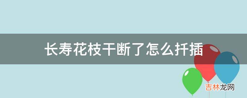 长寿花枝干断了怎么扦插?