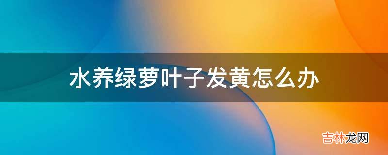 水养绿萝叶子发黄怎么办?