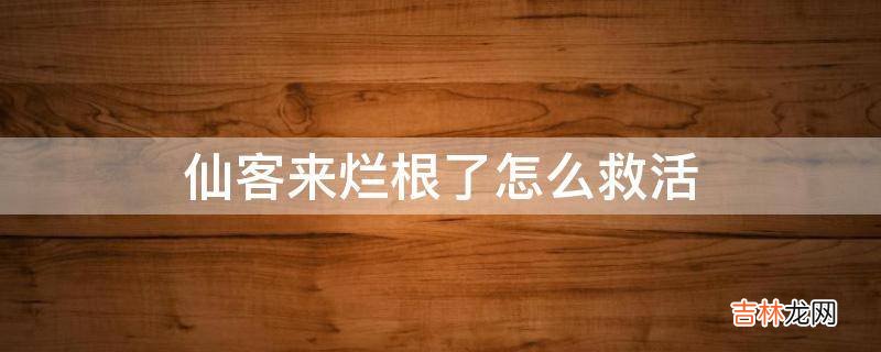 仙客来烂根了怎么救活?