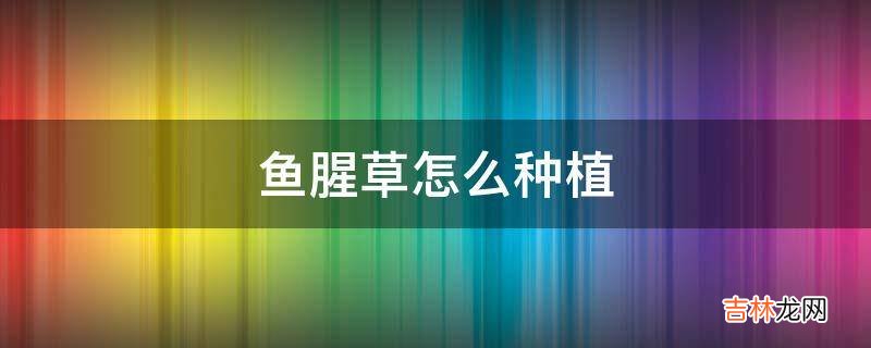 鱼腥草怎么种植?