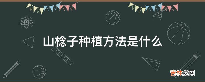 山棯子种植方法是什么?