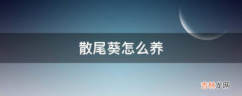 散尾葵怎么养?