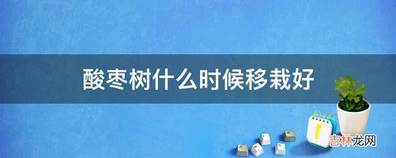 酸枣树什么时候移栽好?