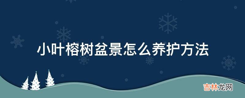 小叶榕树盆景怎么养护方法?