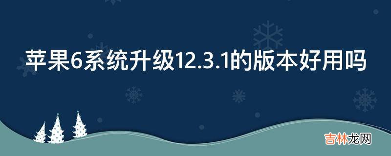 苹果6系统升级12.3.1的版本好用吗?