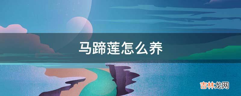 马蹄莲怎么养?