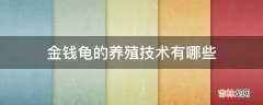 金钱龟的养殖技术有哪些?