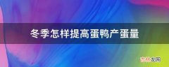 冬季怎样提高蛋鸭产蛋量?