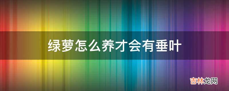 绿萝怎么养才会有垂叶?