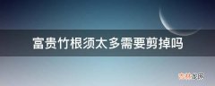 富贵竹根须太多需要剪掉吗?