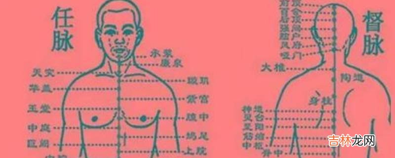 仁通二脉还是任督二脉