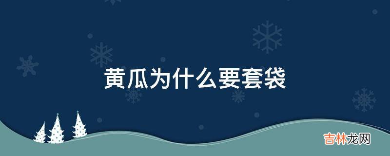 黄瓜为什么要套袋?