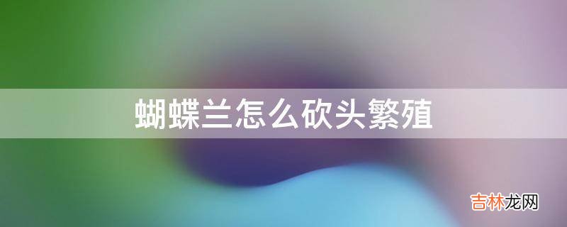 蝴蝶兰怎么砍头繁殖?