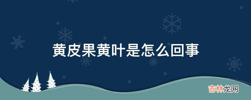 黄皮果黄叶是怎么回事?