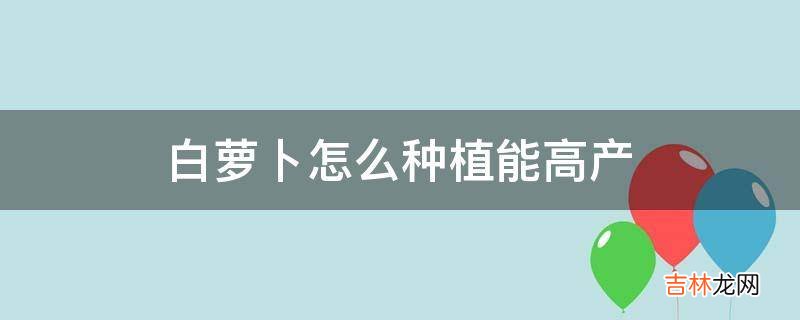 白萝卜怎么种植能高产?