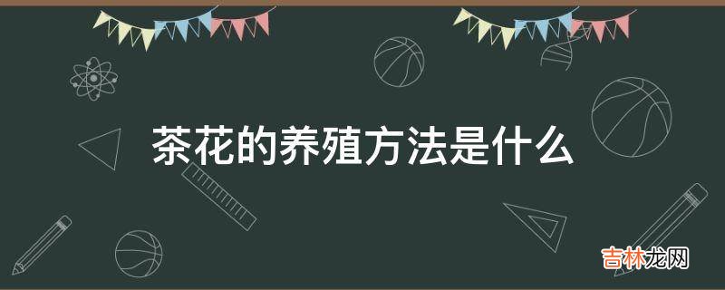 茶花的养殖方法是什么?