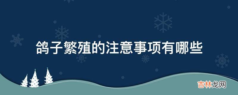 鸽子繁殖的注意事项有哪些?